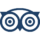 tripadvisor-logotype — копия
